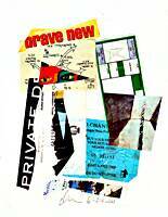 "Brave New Private" Oliver Loveday � 2001